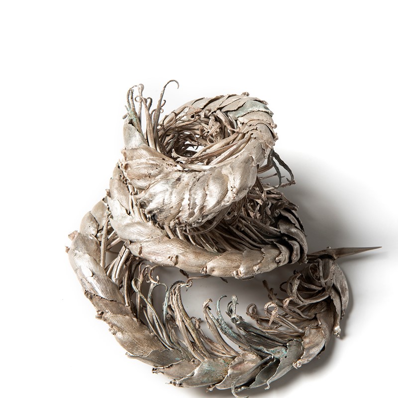 Fasciation (Banana Flower) 2017-2019, recycled silver, 27 x 16 x 5cm
