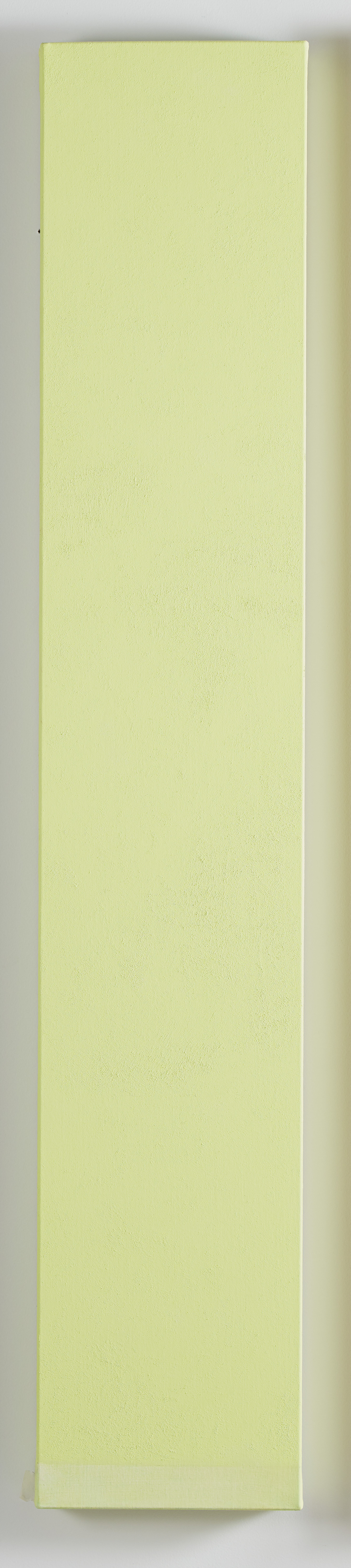 Michele Theunissen, Green Yellow, 2016-2019, pigment, egg tempera, mica, oil on canvas, 167.5 x 30cm
