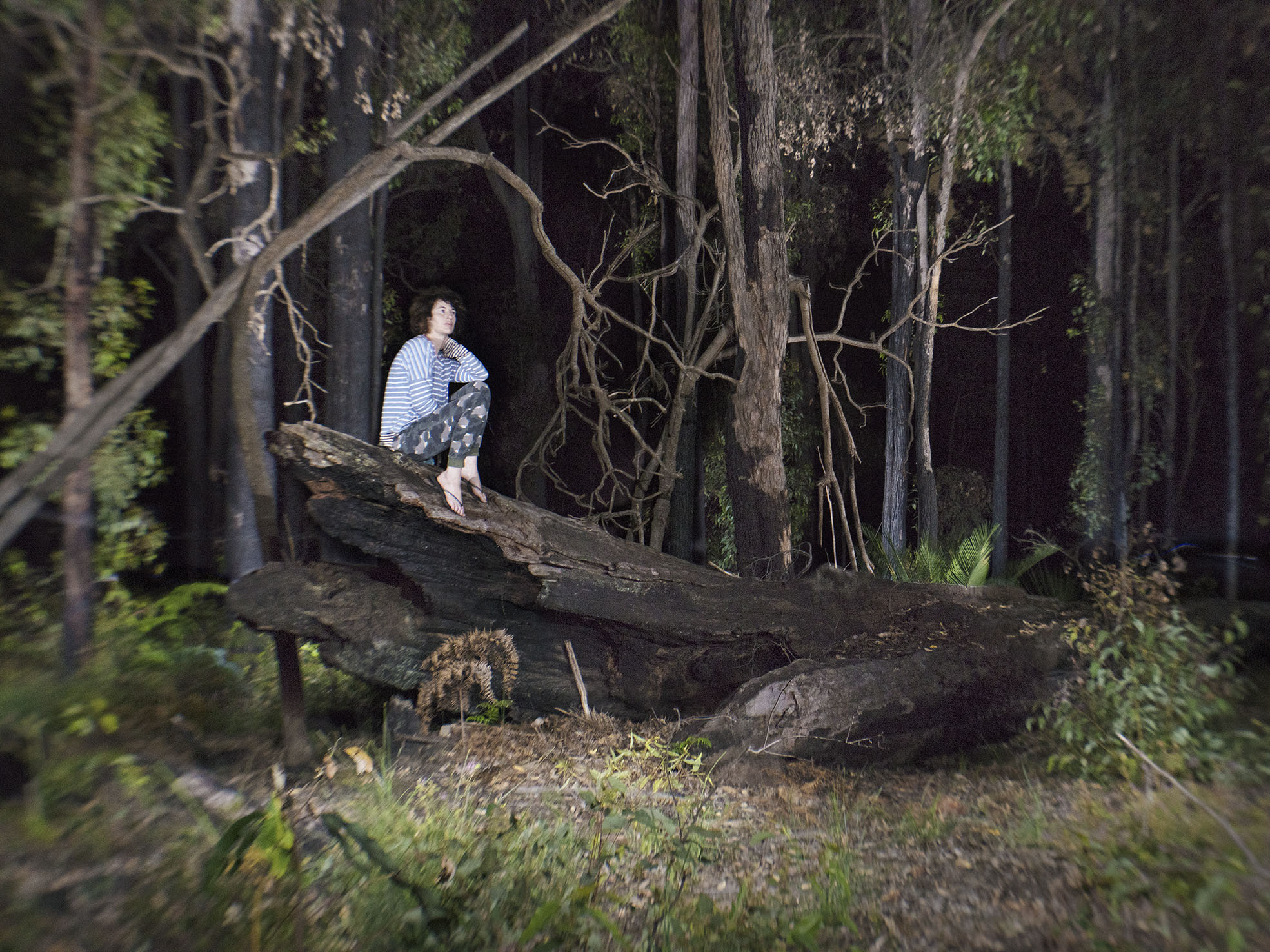 Mike Gray, Dwellingup Study, 2019, archival inkjet print, 75 x 100cm