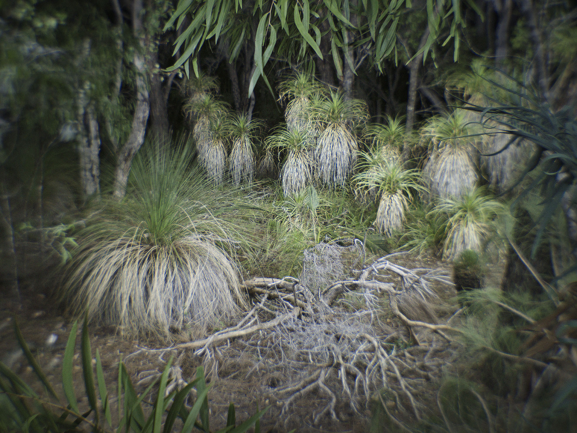 Mike Gray, Yallingup Study 02, 2019, archival inkjet print, 75 x 100cm