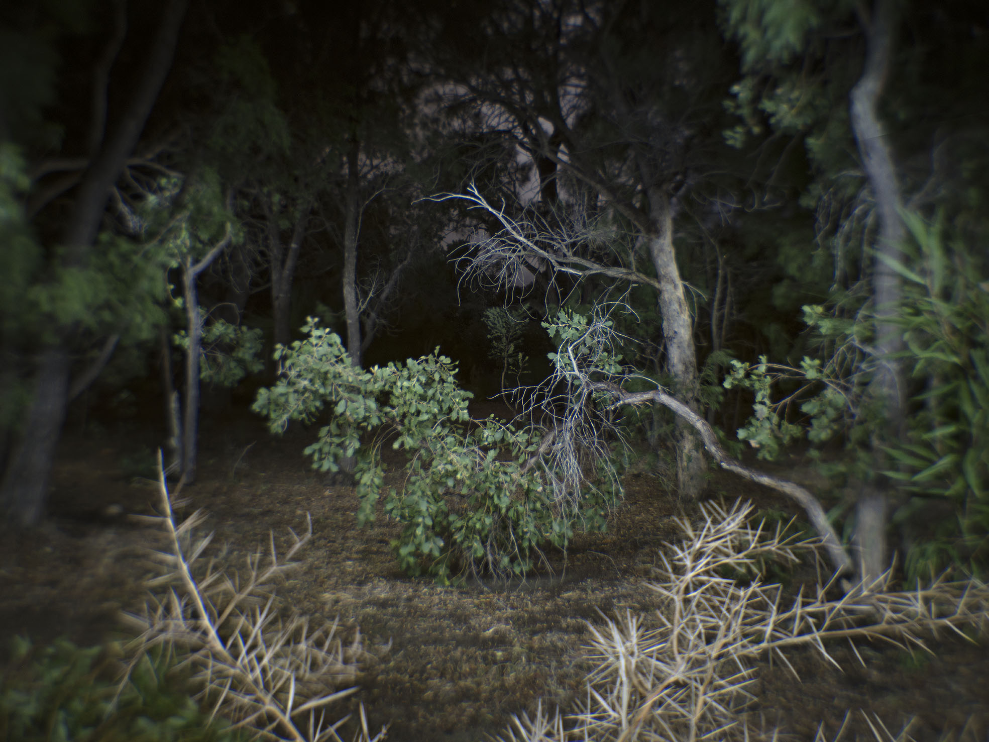 Mike Gray, Yallingup Study 04, 2019, archival inkjet print, 75 x 100cm, ed. 7