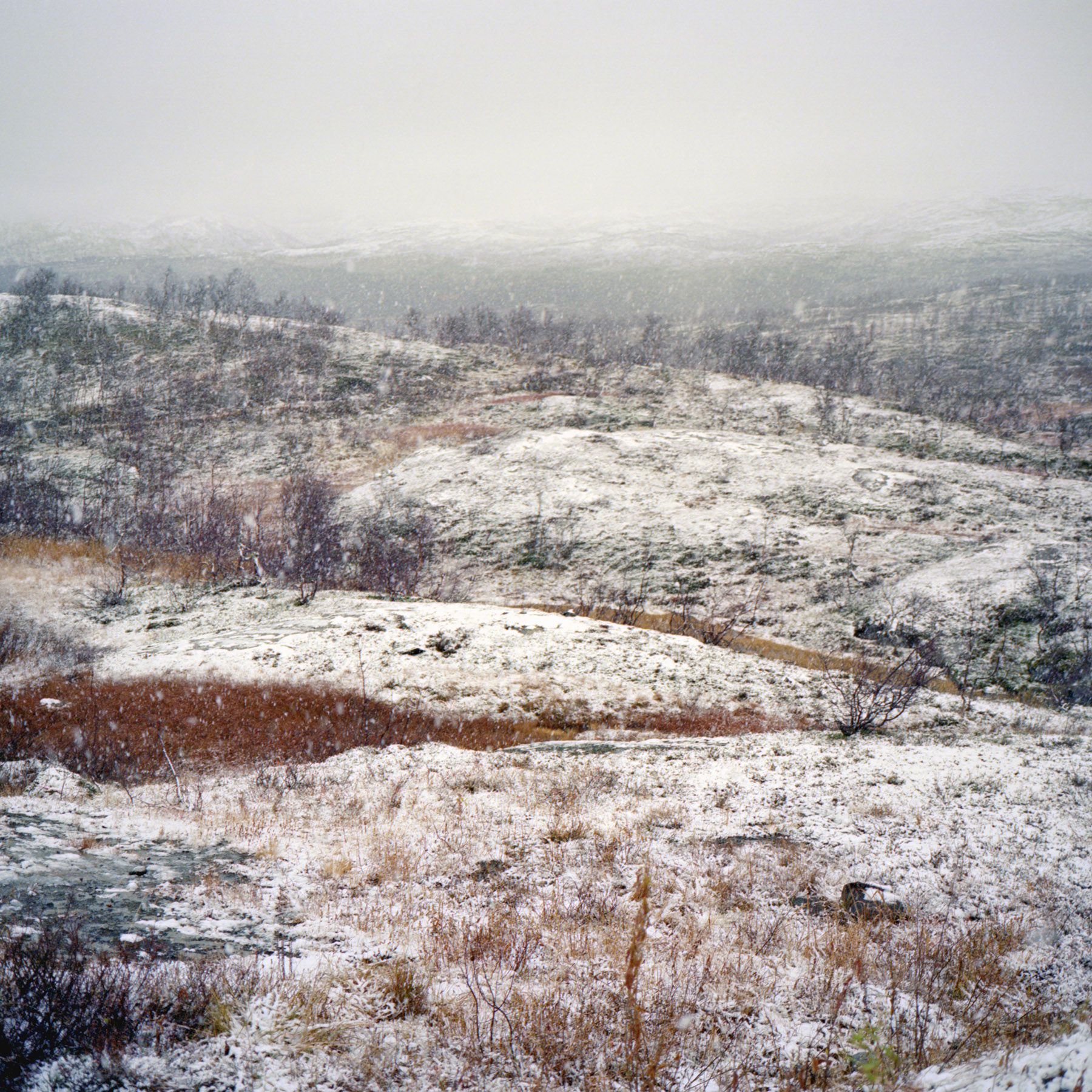 Juha Tolonen, Syksy #10, 2017, archival inket print, 55 x 55cm