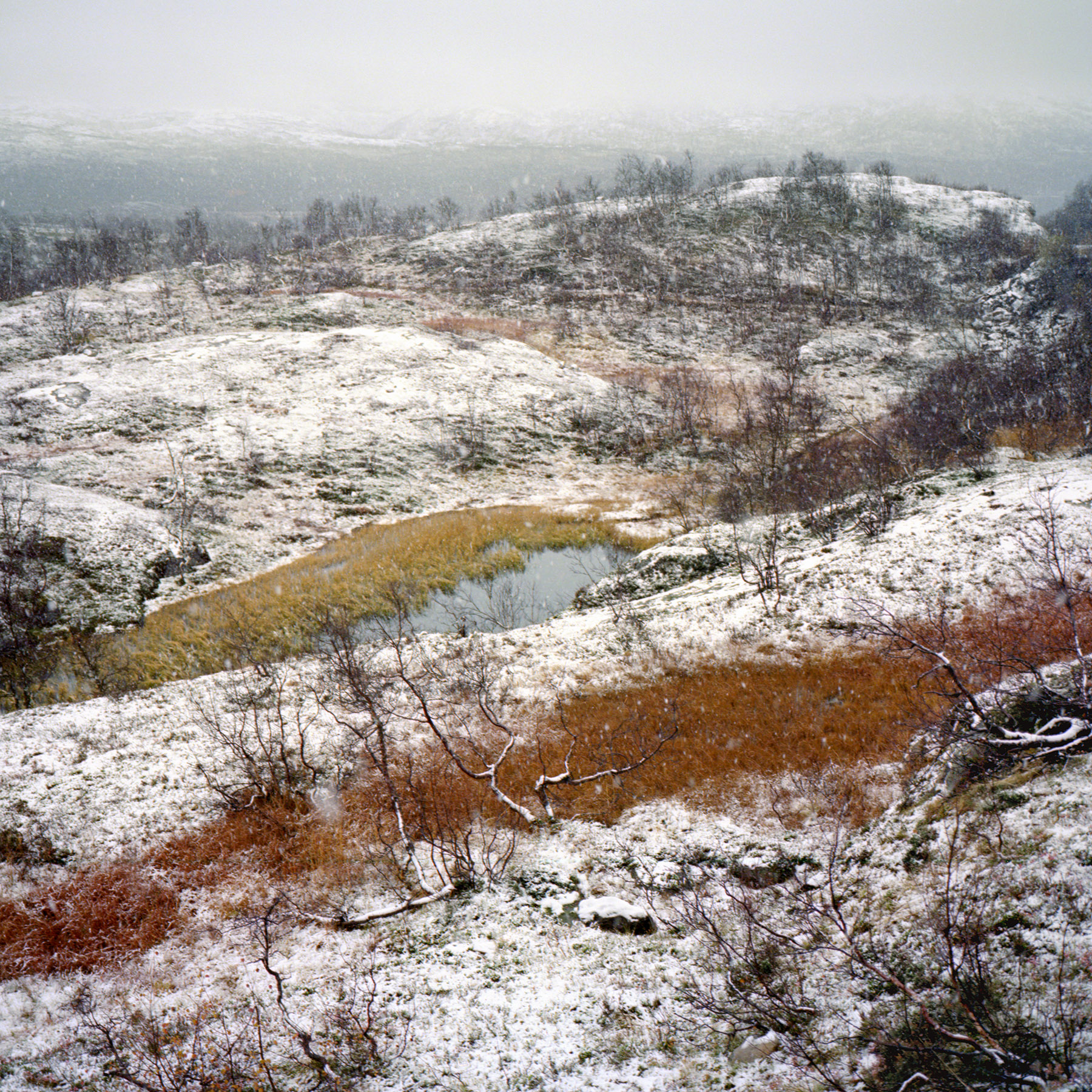 Juha Tolonen, Syksy #9, 2017, archival inket print, 55 x 55cm