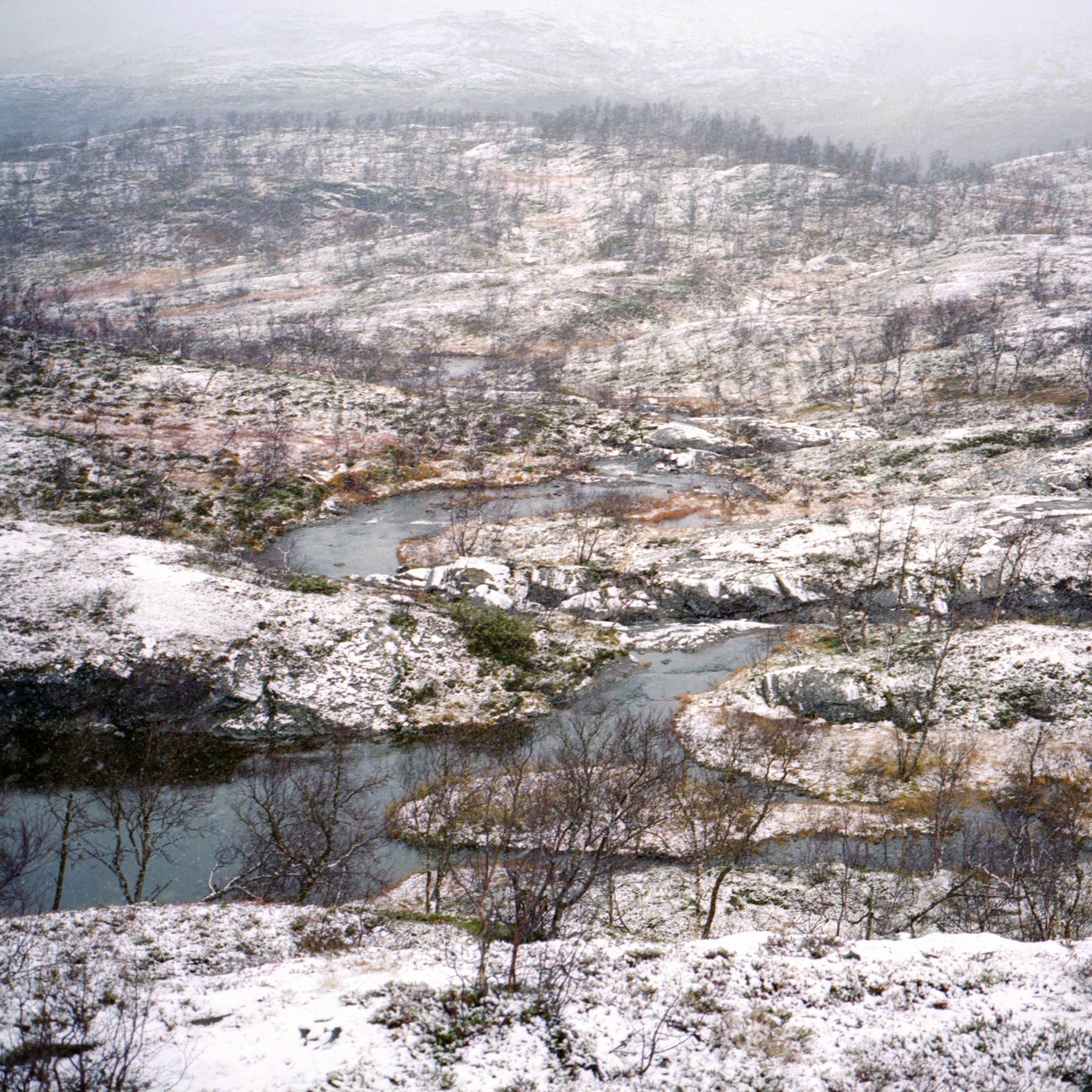 Juha Tolonen, Syksy #7, 2017, archival inket print, 55 x 55cm