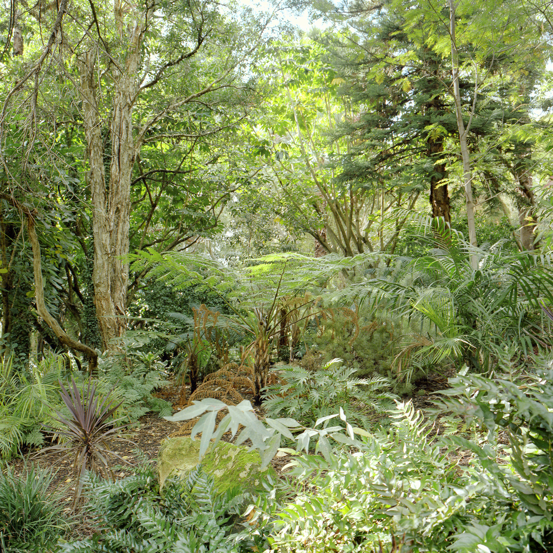 Juha Tolonen, Autumn #3, 2018, archival inket print, 55 x 55cm