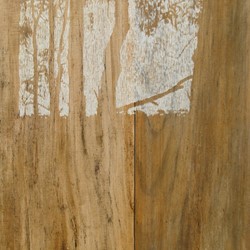 Tony Windberg, Harvest – Gold (panel B, detail), 2012, charcoal, marri resin, sealer on MDF, 50 x 160 x 5cm (each, 2 panels). Holmes a Court Collection