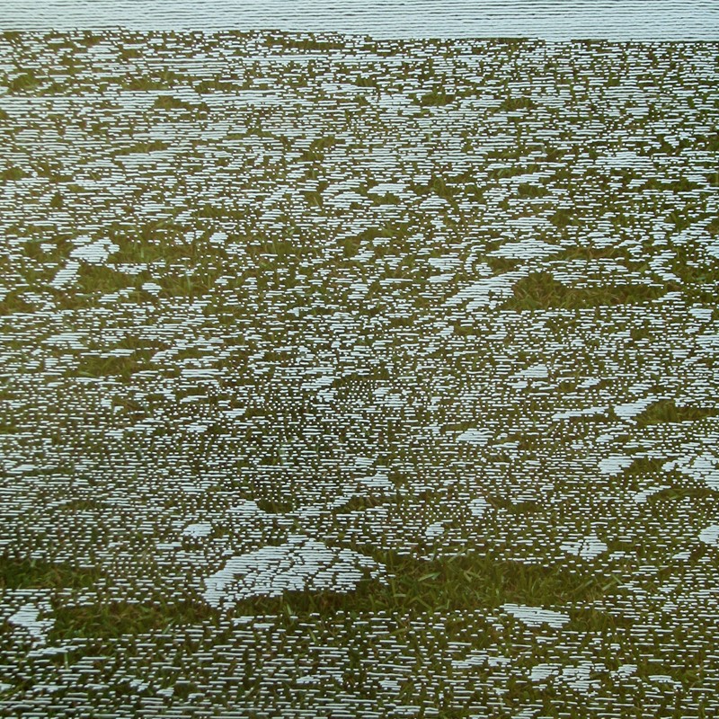 Tony Windberg, Home Turf 4 (detail), 2018, ink under glass, synthetic turf, calcium carbonate and iron oxide, 59 x 172 x 4cm