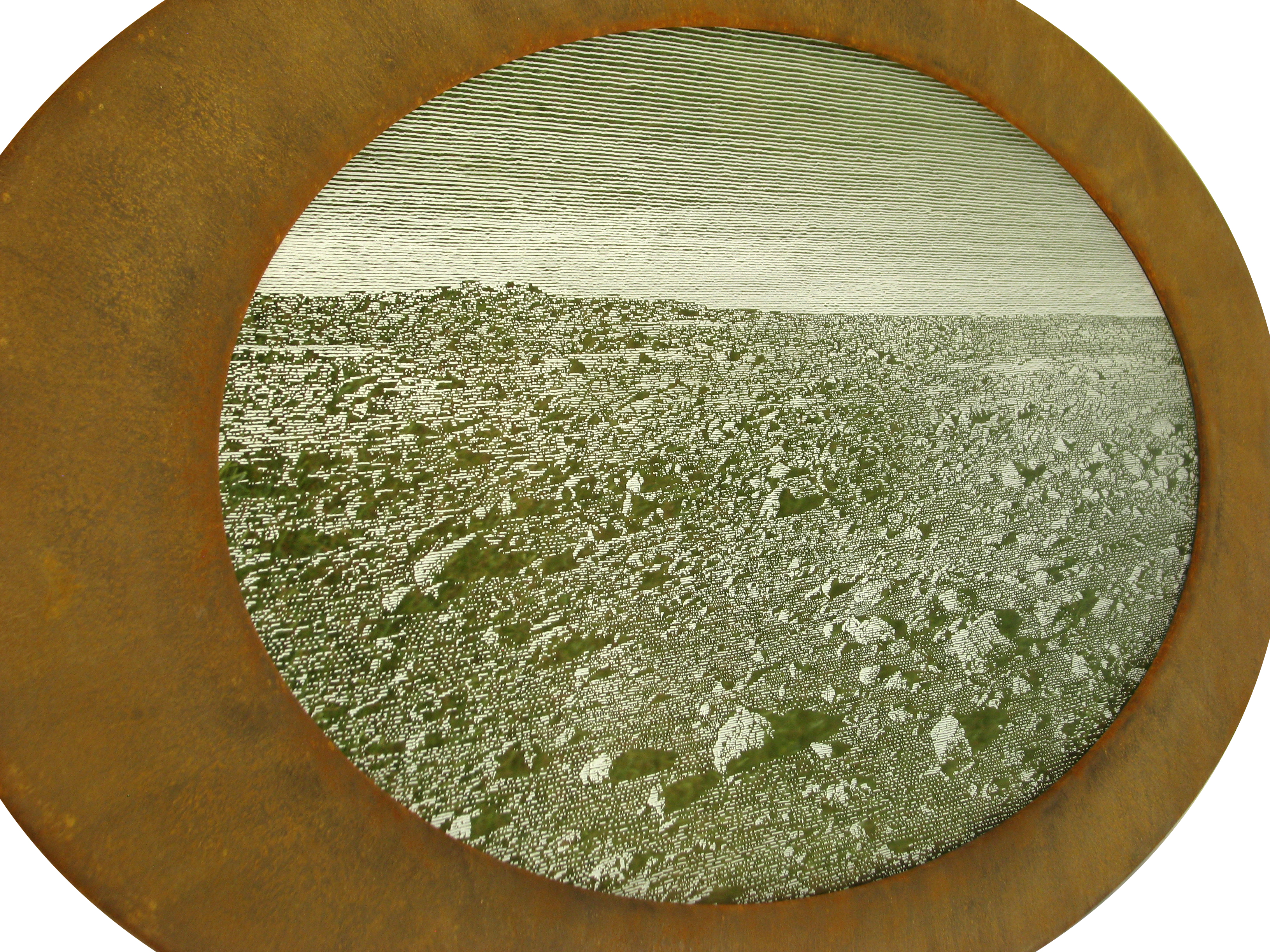 Tony Windberg, Home Turf 4 (oblique view), 2018, ink under glass, synthetic turf, earth pigments, iron oxide, MDF, 59 x 172 x 4cm