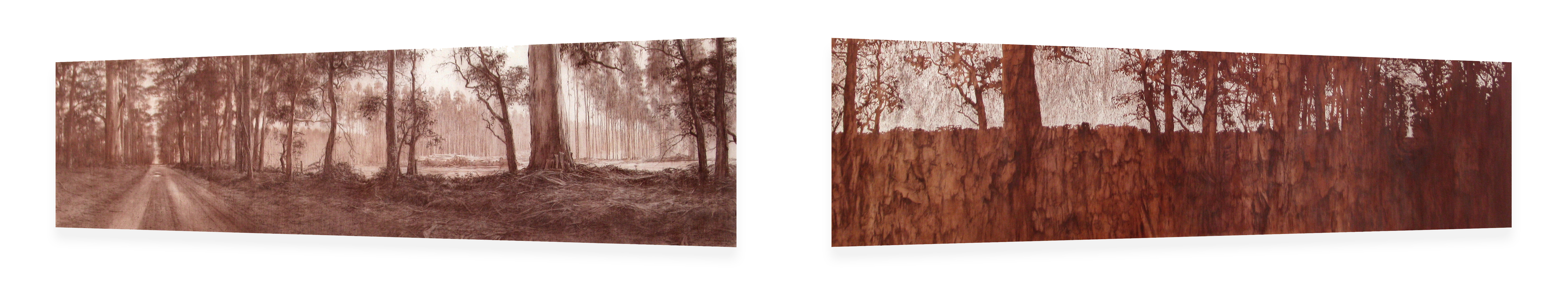 Tony Windberg, Harvest Red, 2012, conte crayon, charcoal, resins on 2 flat mdf structures, each panel, 50 x 160 x 5cm