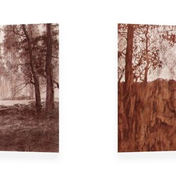 Tony Windberg, Harvest Red, 2012, conte crayon, charcoal, resins on 2 flat mdf structures, each panel, 50 x 160 x 5cm