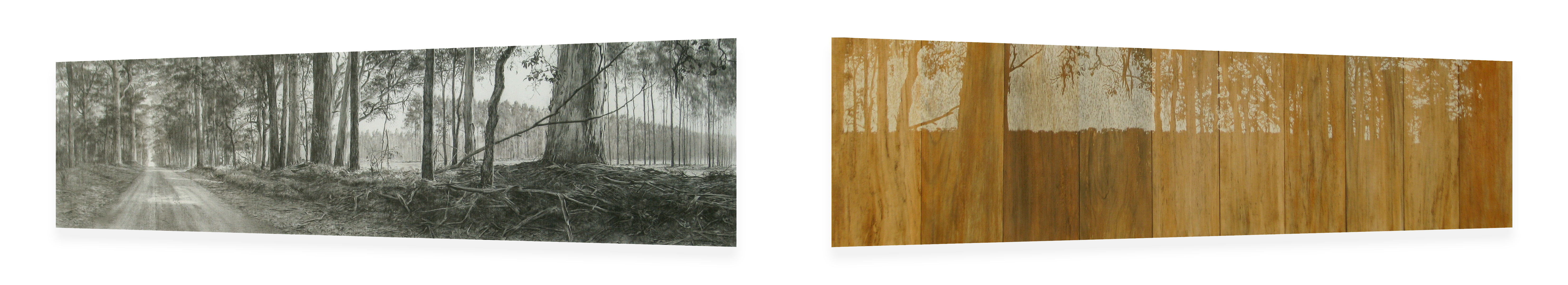 Tony Windberg, Harvest Gold, 2012, charcoal, resins on 2 flat mdf structures, each panel 50 x 160 x 5cm. Janet Holmes a Court Collection