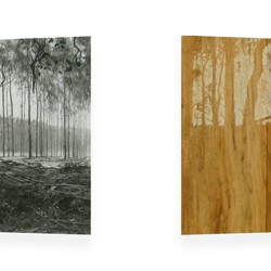 Tony Windberg, Harvest Gold, 2012, charcoal, resins on 2 flat mdf structures, each panel 50 x 160 x 5cm. Janet Holmes a Court Collection