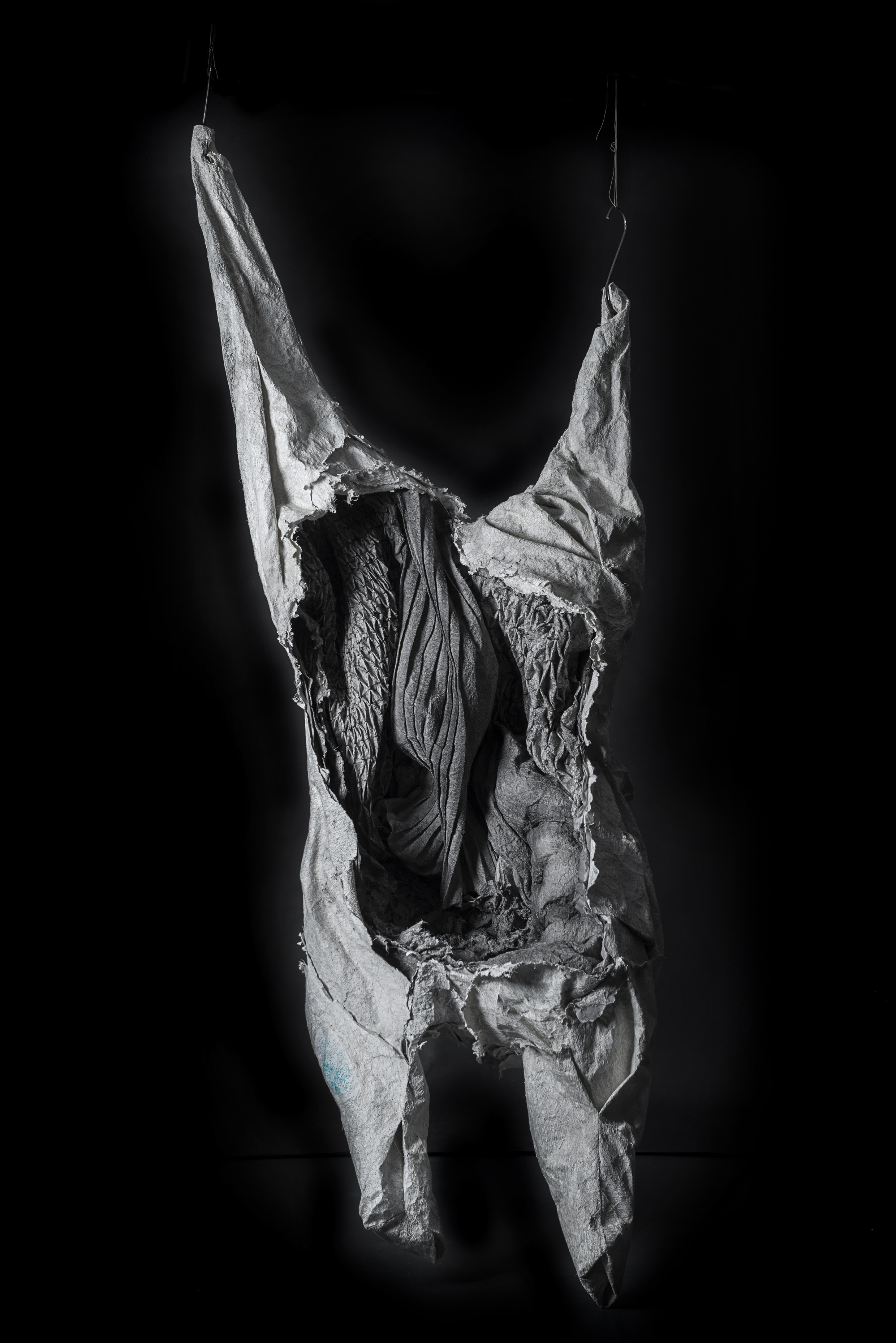 Susan Roux, Silent Embrace, 2019, Canson paper, ink, thread, polyester, dimensions variable