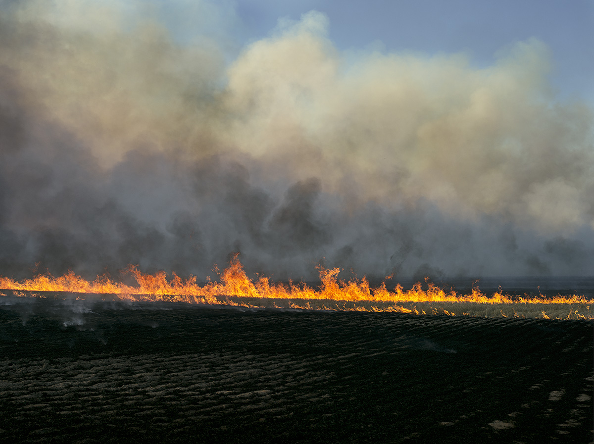 Brad Rimmer, Wyalkatchem, Autumn, 2014, photograph, 100 x 134cm