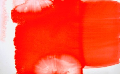 Penny Coss, Red Bloom Trespass, 2014, acrylic on canvas, 146 x 204cm