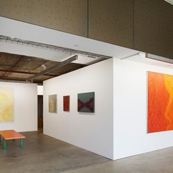 Carol Rudyard, installation view, Art Collective WA, December 2019. Acorn Photo (2)