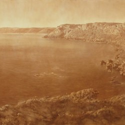 Tony Windberg, Lookout - Tookalup, 2019, earth pigments, pencil, conte crayon, oil on panel, 82 x 204cm. St John of God Health Care Collection