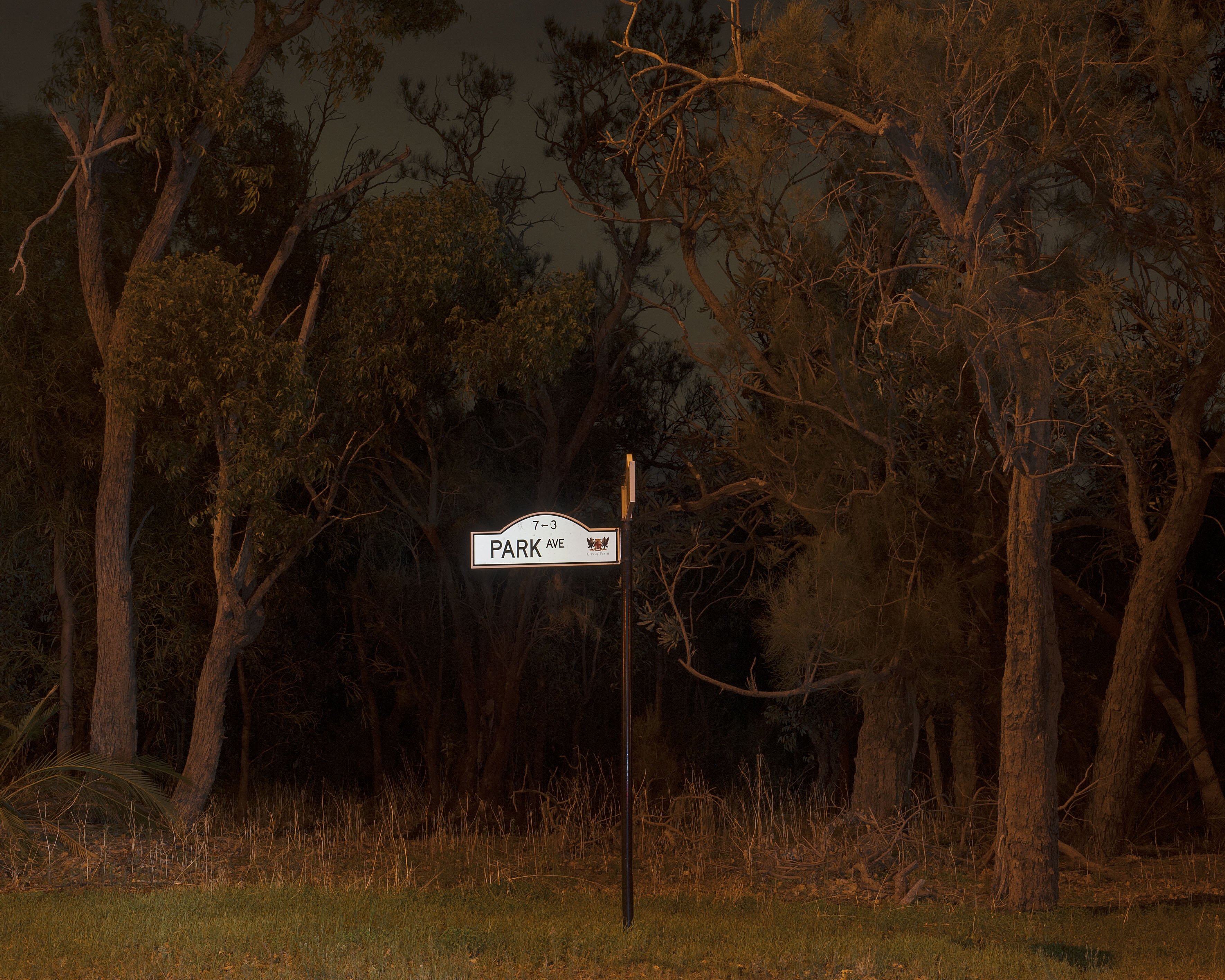 Toni Wilkinson, Park Ave, 2014, archival digital print, 42 x 53.5cm, ed. 5