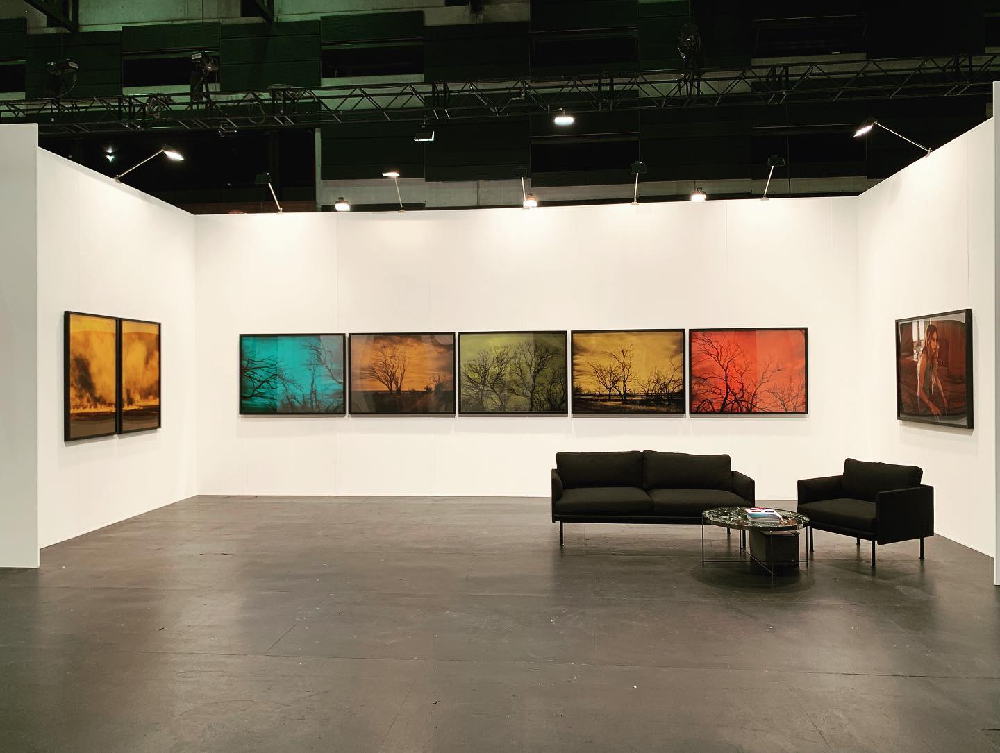 Brad Rimmer, Nature Boy installation view, Sydney Contemporary 2019