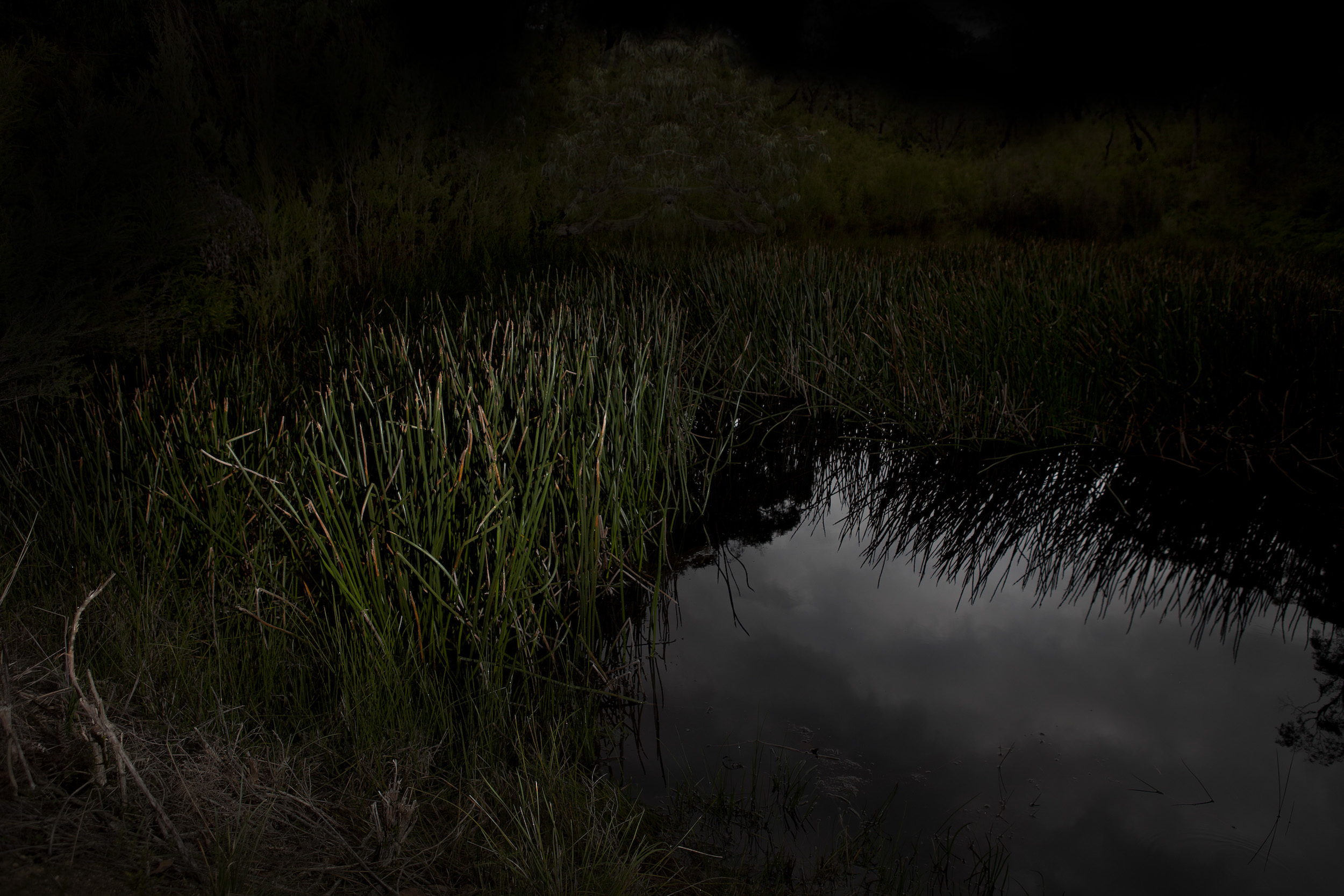 Rebecca Dagnall, Billabong, 2014, pigment print, 80 x 120cm, ed. 10