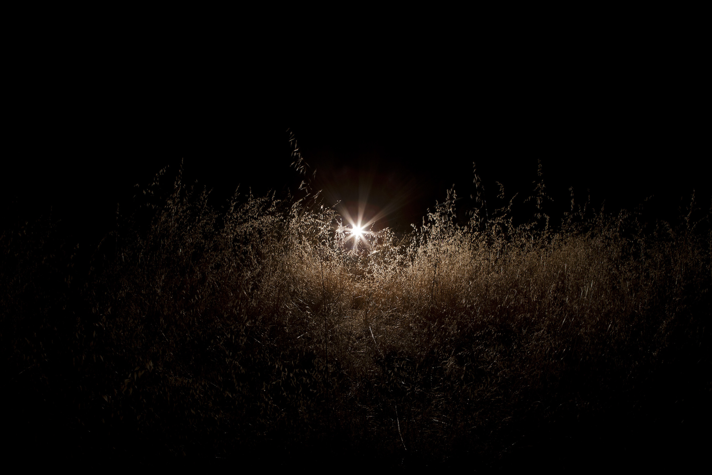 Rebecca Dagnall, Torch, 2014, pigment print, 80 x 120cm, ed. 10