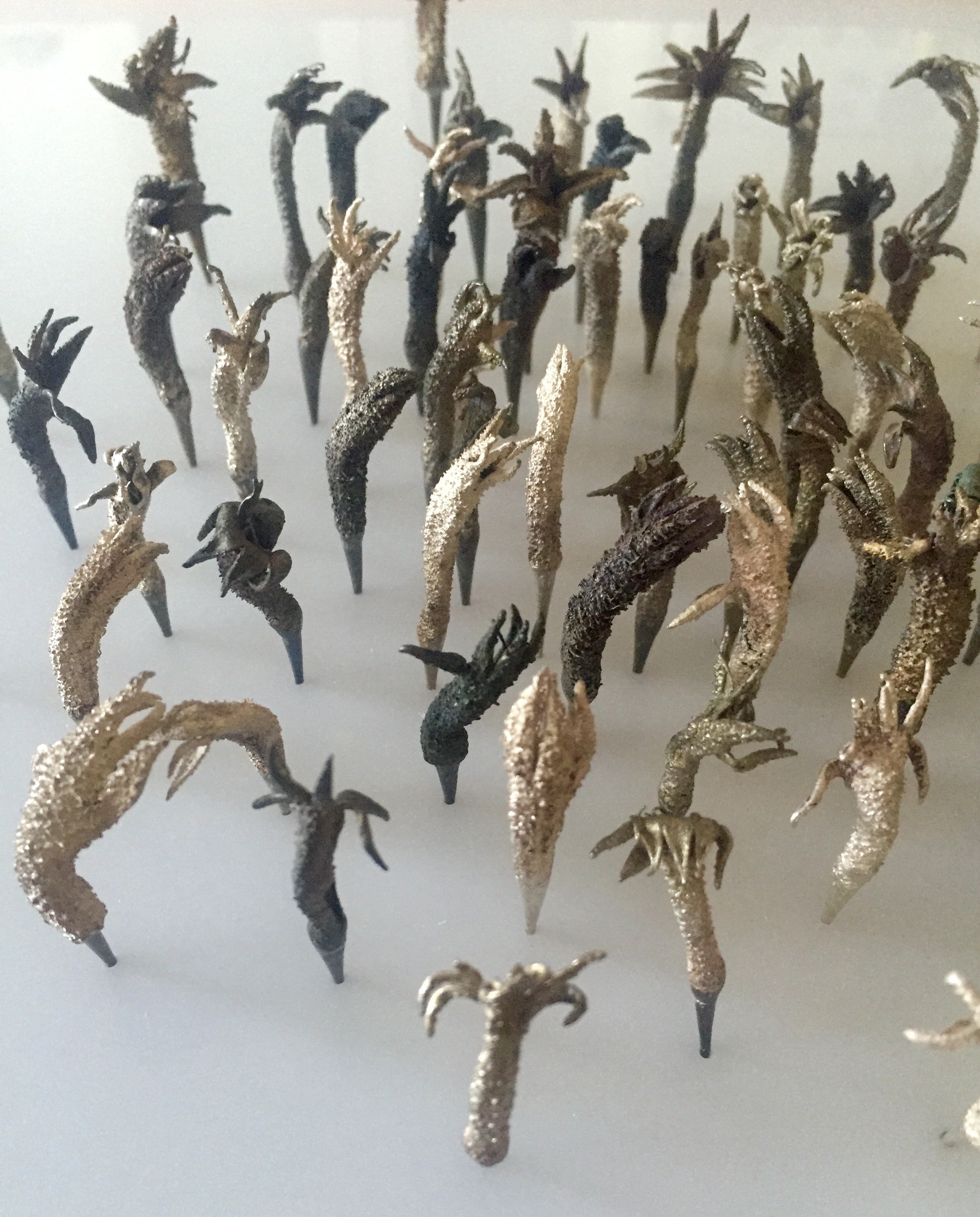 Sarah Elson, An excerpt from Anigozathos (Eudaimonia Hybrid), recycled silver, copper and gold alloys, variable dimensions