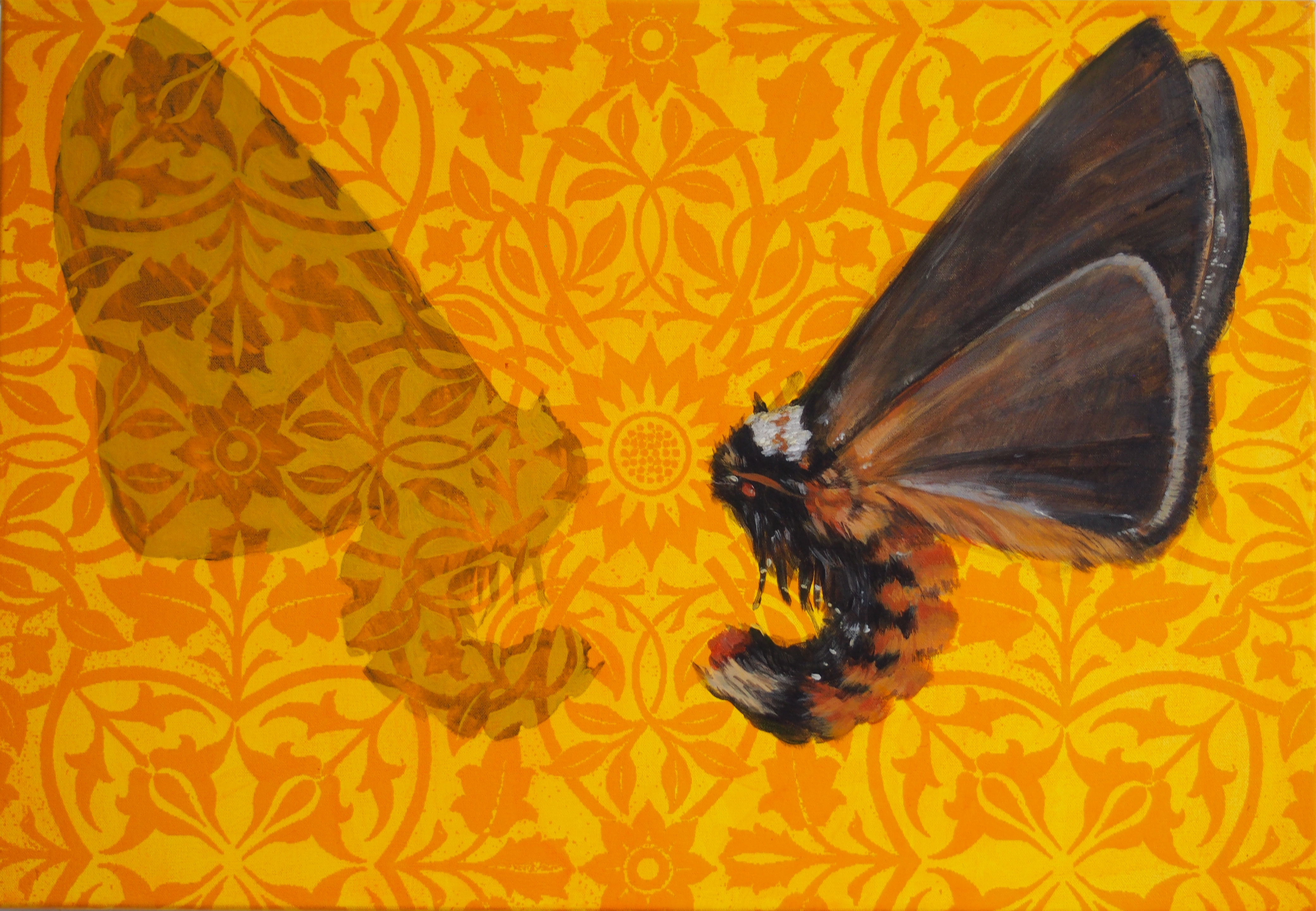 Clare McFarlane, Shadow IV, 2014, acrylic and inkjet print on canvas, 45.5 x 66cm