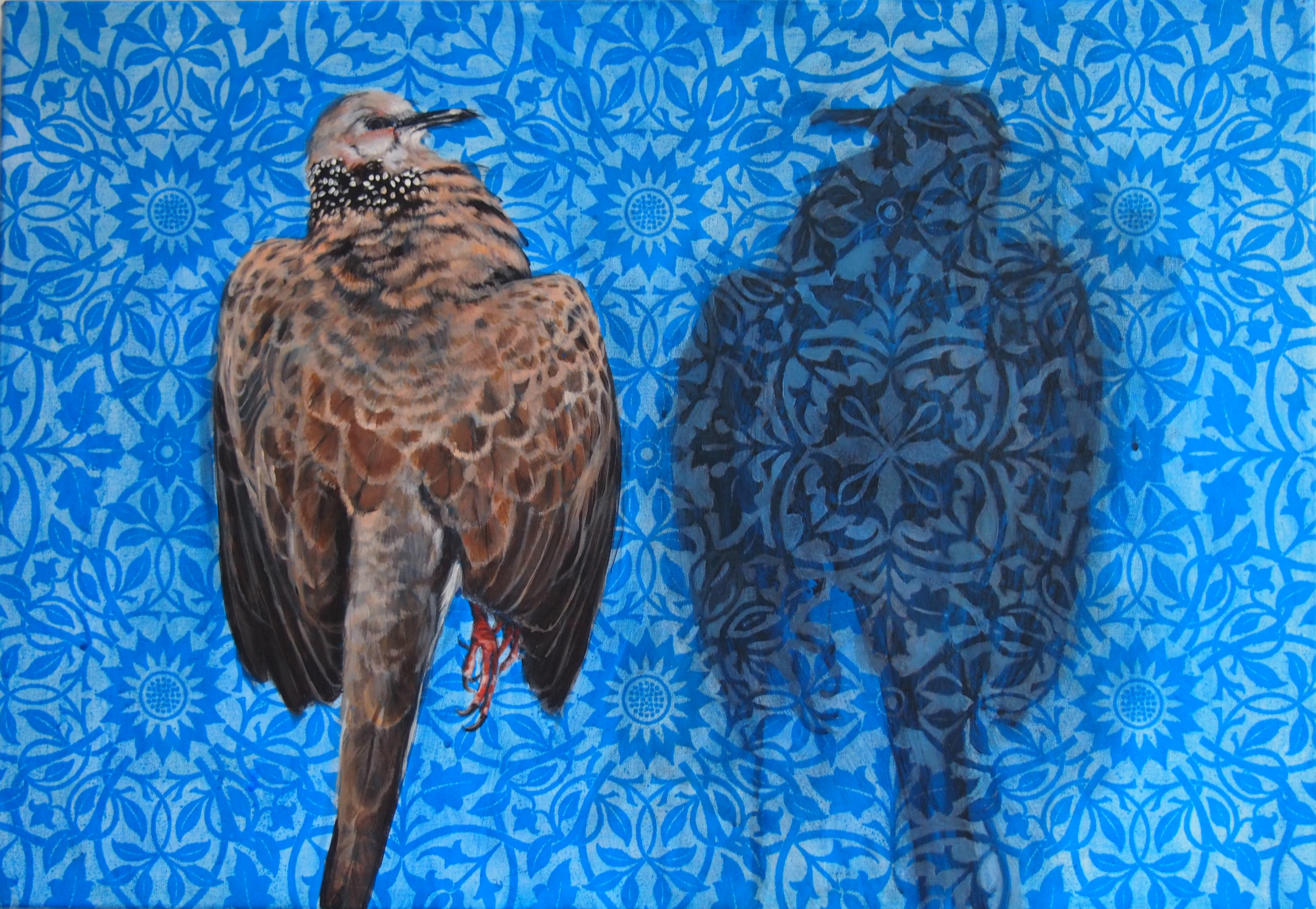 Clare McFarlane, Shadow II, 2014, acrylic and inkjet print on canvas, 45.5 x 66cm