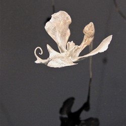 Sarah Elson, Phalenopsis Therapeutic Pin 1, 2014, reclaimed silver