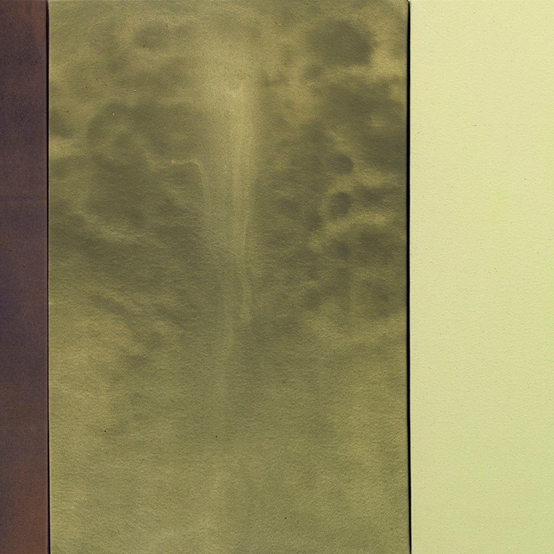 Plume Over Dark Fields, 2019, acrylic on canvas, 70 x 150cm (triptych)