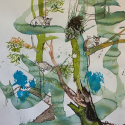 Antony Muia, Possums, 2018, ink and watercolour on paper, 77 x 56cm