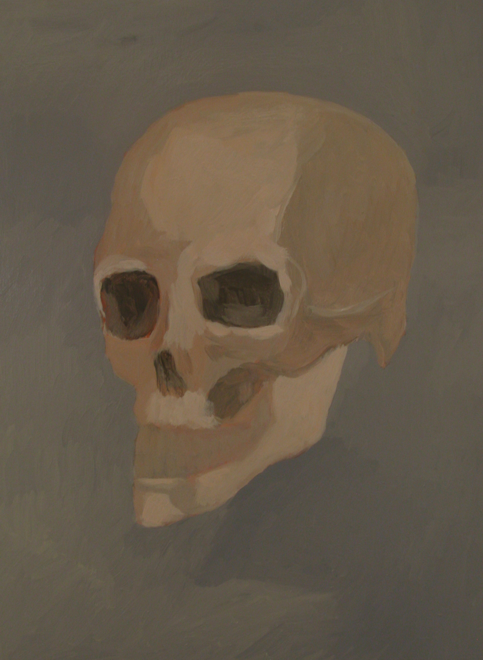 Paul Uhlmann, Skull, 2014, oil on canvas, 41 x 31cm