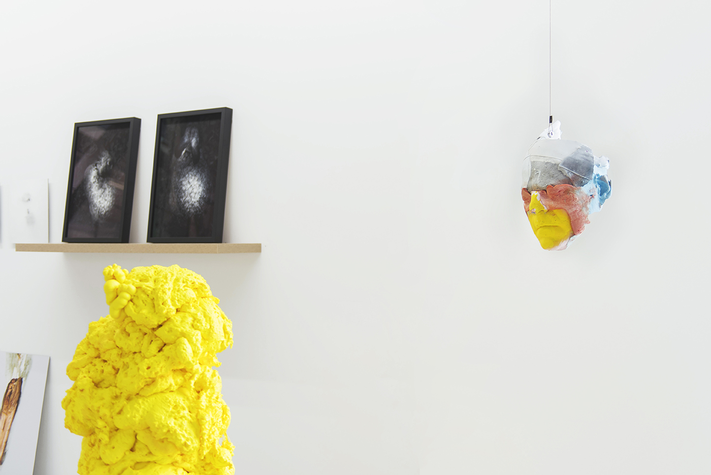 Collective States, installation view. Artwork (R-L) Paul Kaptein, Jane Finlay. Photo Christophe Canato