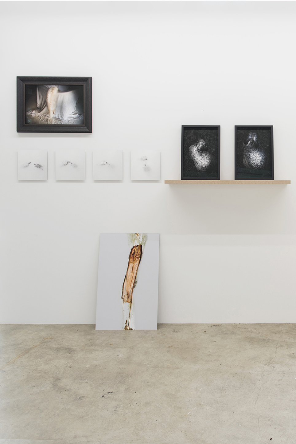 Collective States, installation view. Artwork Jane Finlay. Photo Christophe Canato