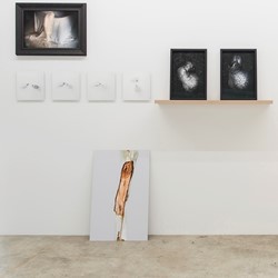 Collective States, installation view. Artwork Jane Finlay. Photo Christophe Canato