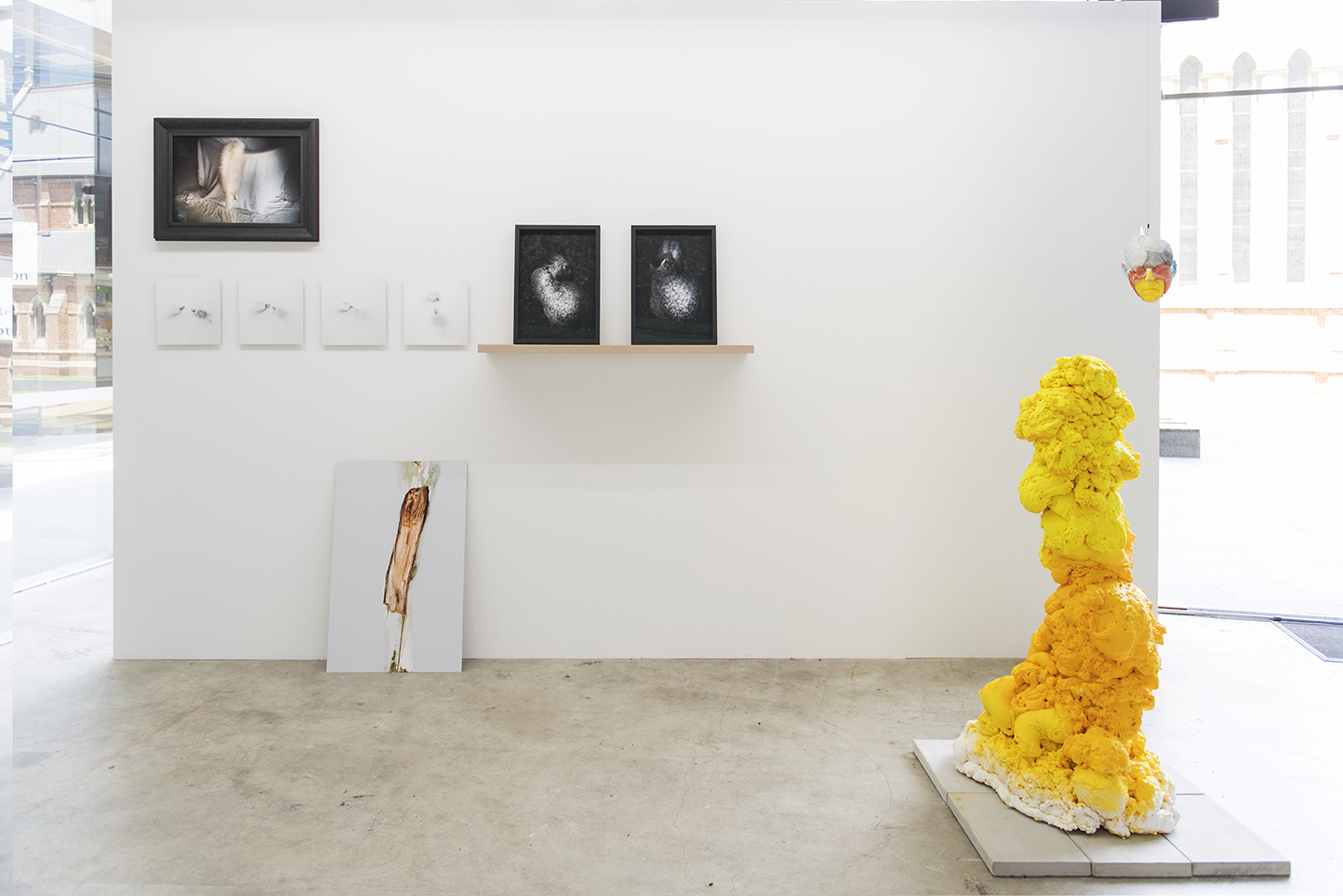 Collective States, installation view. Artworks Jane Finlay and Paul Kaptein. Photo Christophe Canato