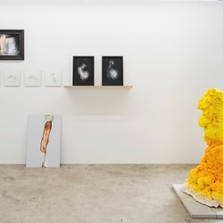 Collective States, installation view. Artworks Jane Finlay and Paul Kaptein. Photo Christophe Canato