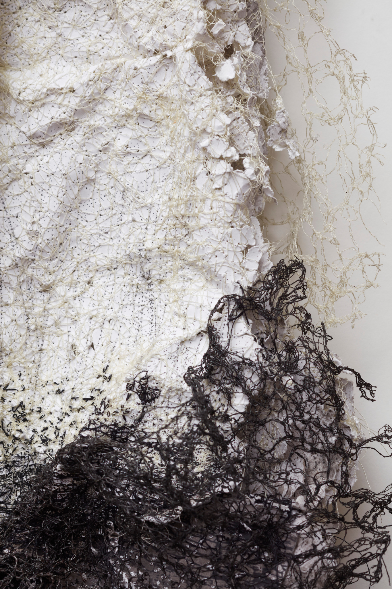 Susan Roux, Reversed Vanishing (detail), 2020, ink, carbon, thread and polished steel on archival photographic print on acrylic frame, 85 x 110 x 12cm. Acorn Photo