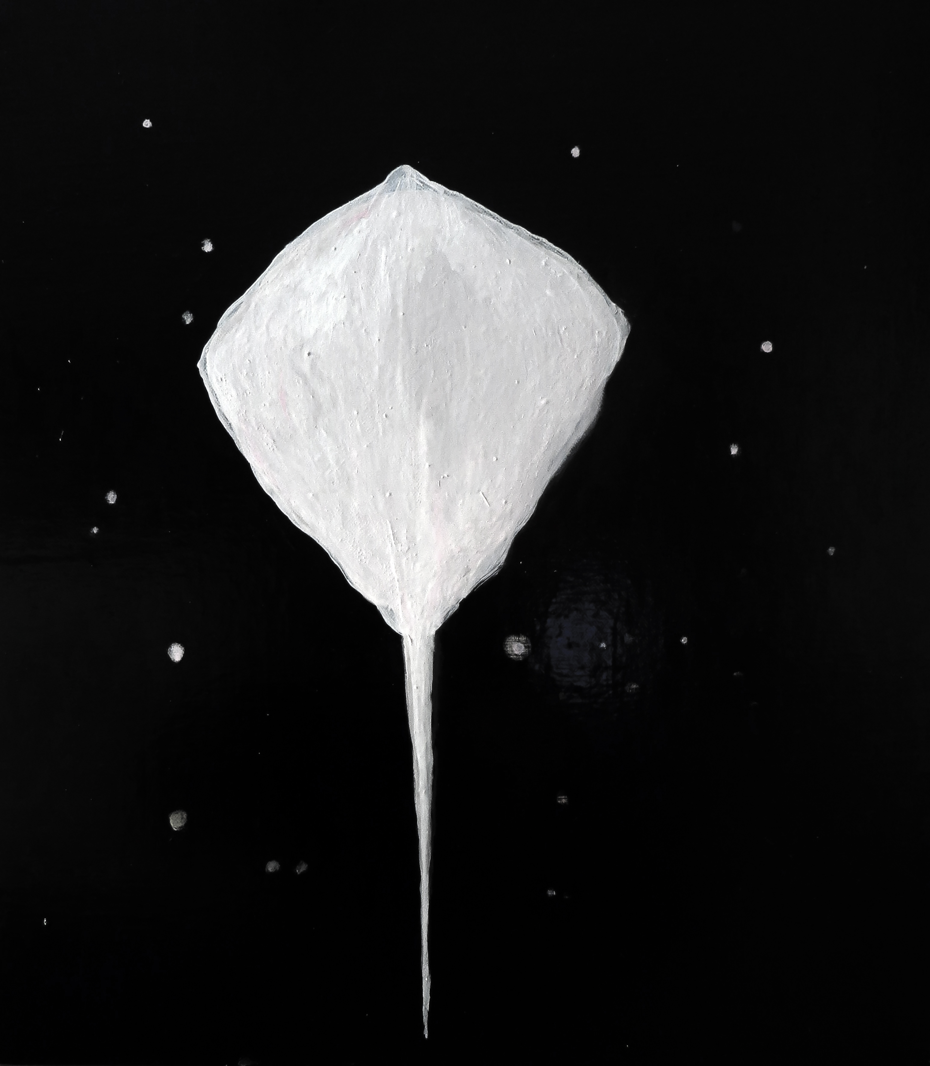 Paul Uhlmann, Small Sting Ray II, 2020, oil on canvas, 46 x 41cm