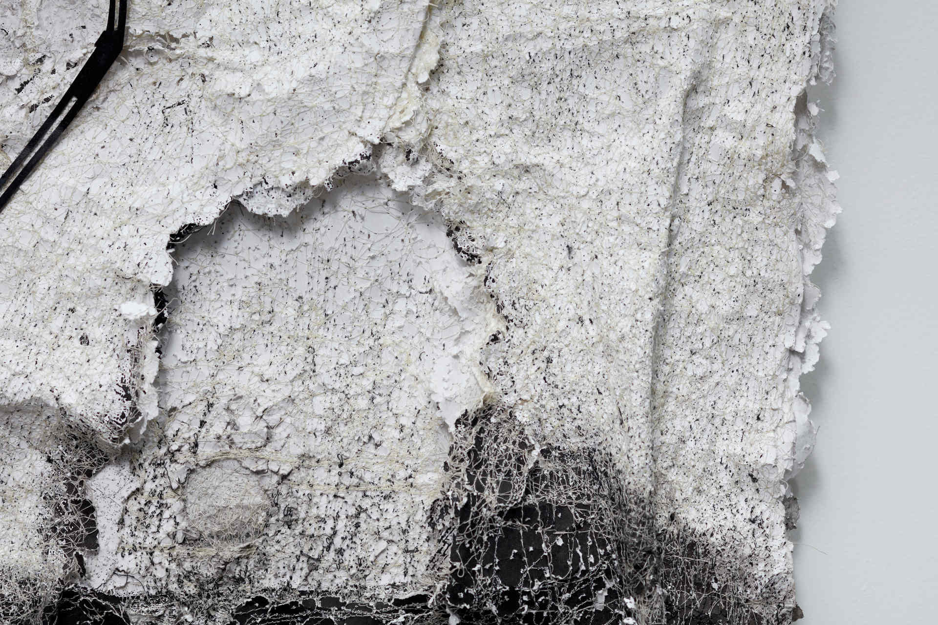 Susan Roux, Eradicate Couture (detail), 2020, ink, carbon, thread and polished steel on archival photographic print, 160 x 85 x 30cm (1)