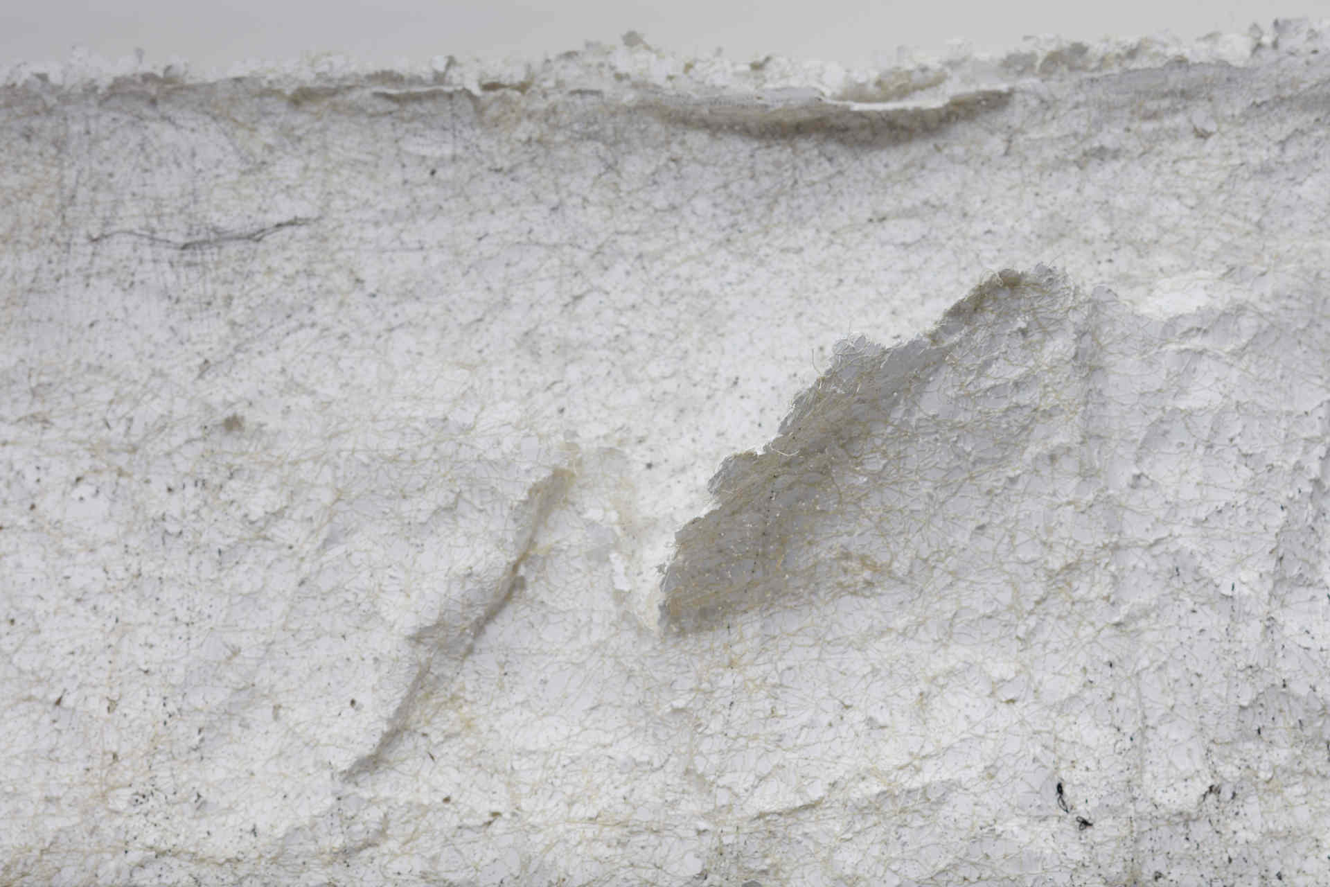 Susan Roux, Eradicate Couture (detail), 2020, ink, carbon, thread and polished steel on archival photographic print, 160 x 85 x 30cm (2)