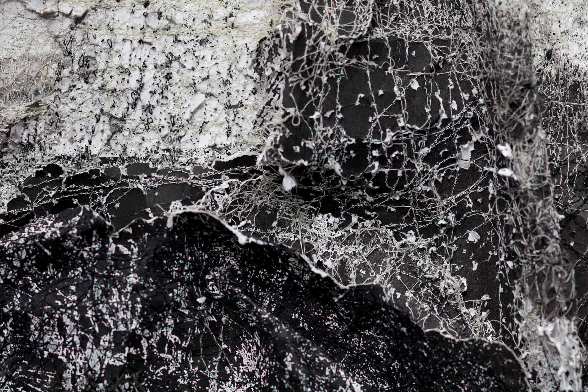 Susan Roux, Eradicate Couture (detail), 2020, ink, carbon, thread and polished steel on archival photographic print, 160 x 85 x 30cm (5)