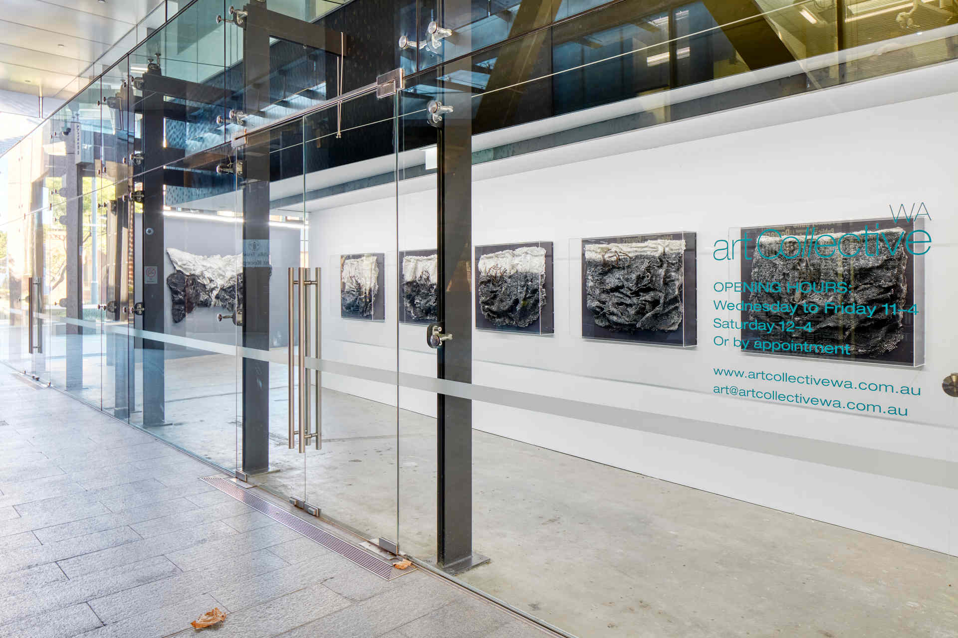 Susan Roux, Marking the Vanishing, May 2020, installation view. Art Collective WA. Acorn Photo (1)