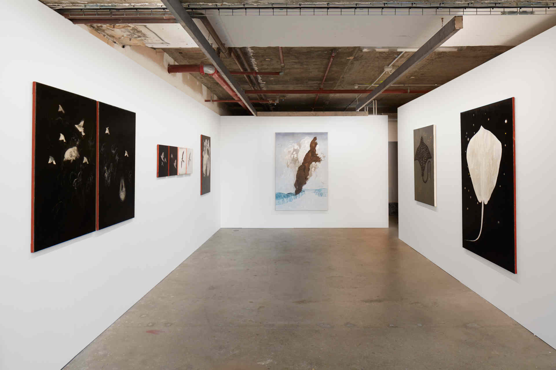 Paul Uhlmann, Land of Smoke, May 2020, installation view. Art Collective WA. Acorn Photo