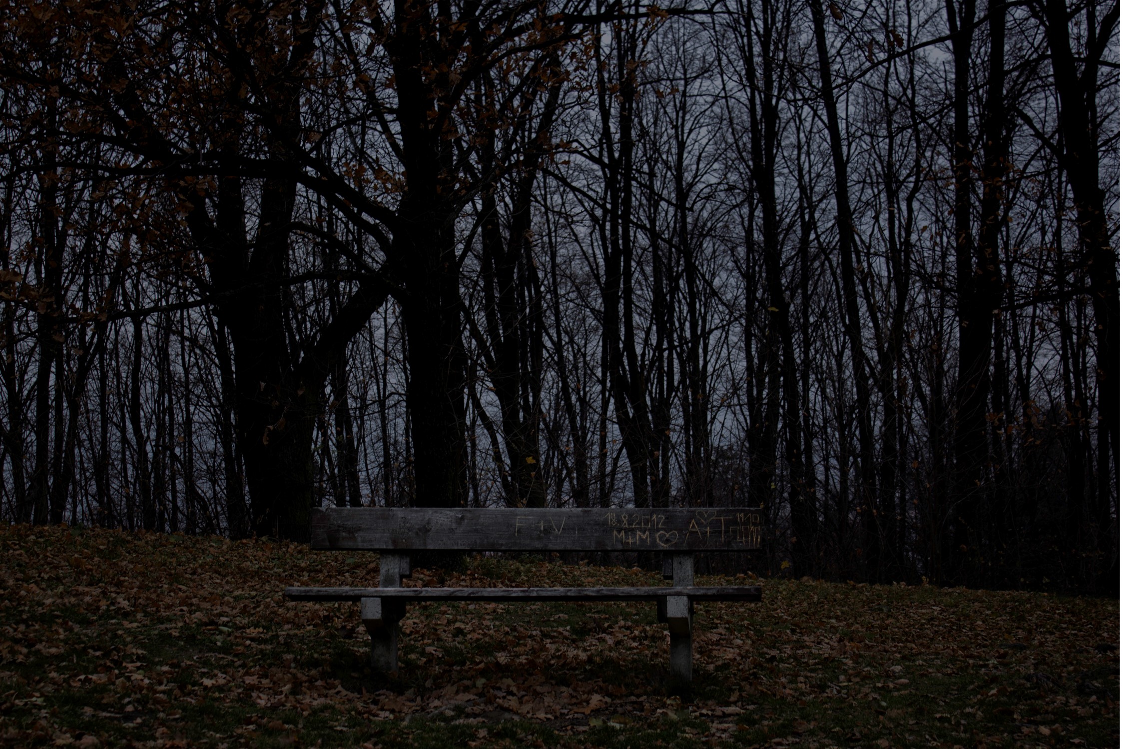 Olga Cironis, Into the Woods Alone 4, 2013, archival photographic digital print, 72 x 104cm, ed. 4