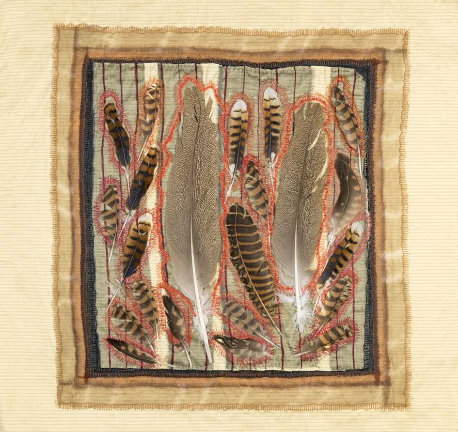 Megan Kirwan-Ward, Big Sister, cotton, bush turkey feathers, silk, cotton thread on linen, 54 x 51cm