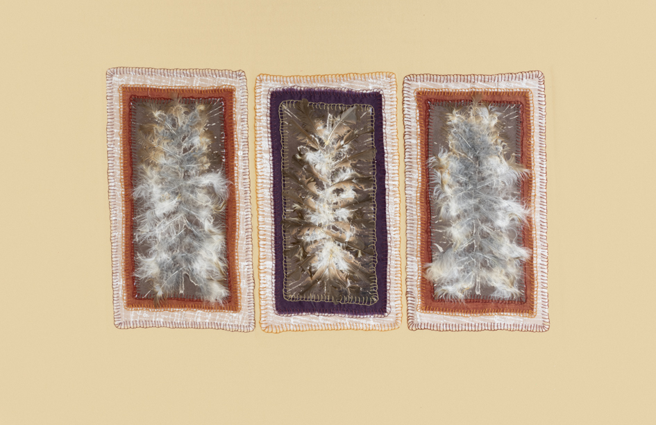 Megan Kirwan-Ward, Gathered 2, printed silk, feathers and cotton thread on cotton, 33 x 51cm