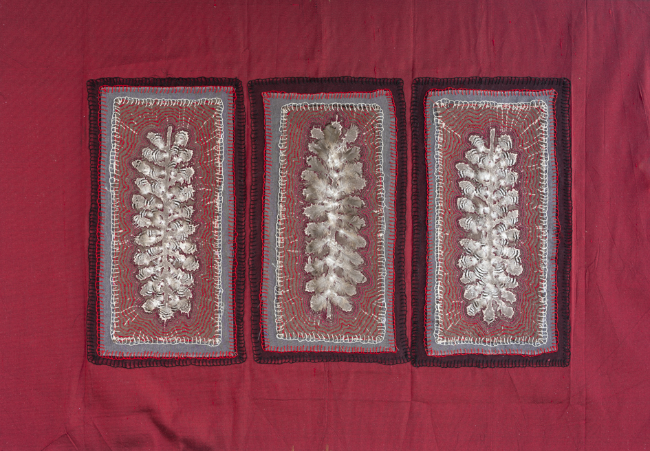 Megan Kirwan-Ward, Gathered 1, printed silk, feathers and cotton thread on cotton, 35 x 52cm