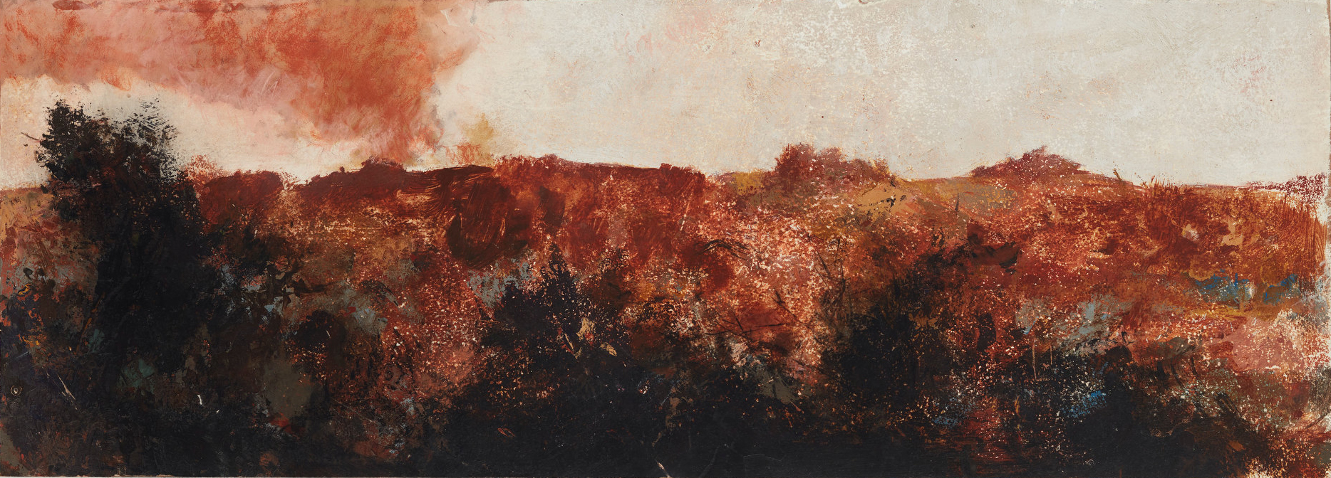 Merrick Belyea, Near Gabbadah V, 2019, oil on board, 30 x 83cm