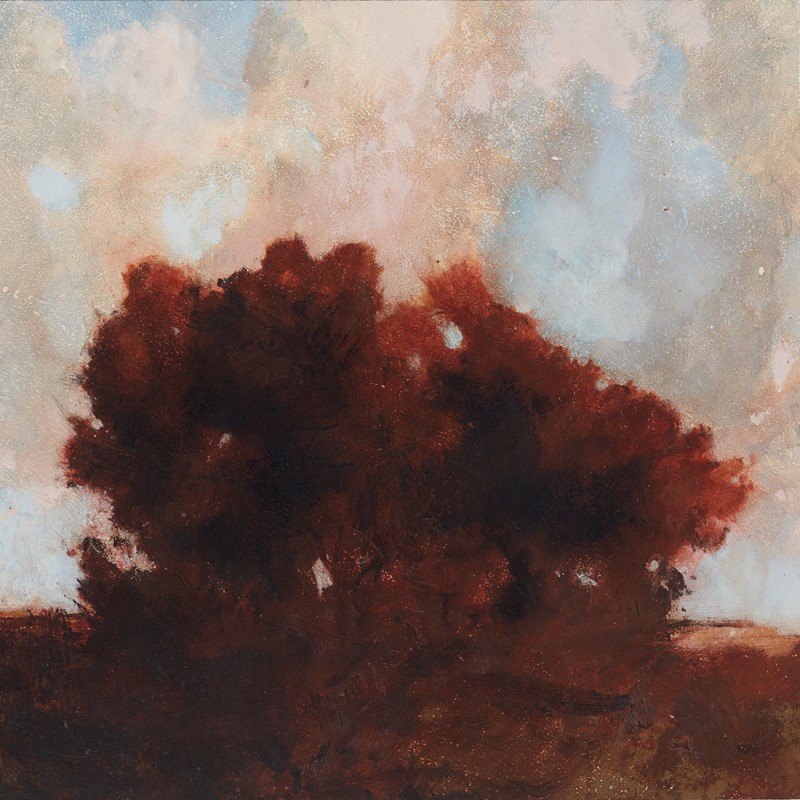 Merrick Belyea, Tree on a Hill, Nanga Brook Road I, 2019, oil on board, 51 x 61cm